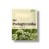 Podagrycznik liść 50g na przemianę materii i dolegliwości reumatyczne
