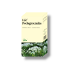 Podagrycznik liść w saszetkach 25 x 1g - herbata ziołowa
