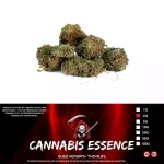 Susz Konopny CBD Cannabis Essence 2g THC 0,15%