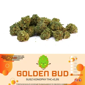 Susz Konopny CBD Golden BUD 100g THC 0,2%