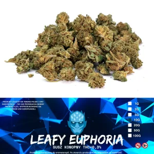 Susz Konopny CBD Leafy Euphoria 10g THC 0,2%